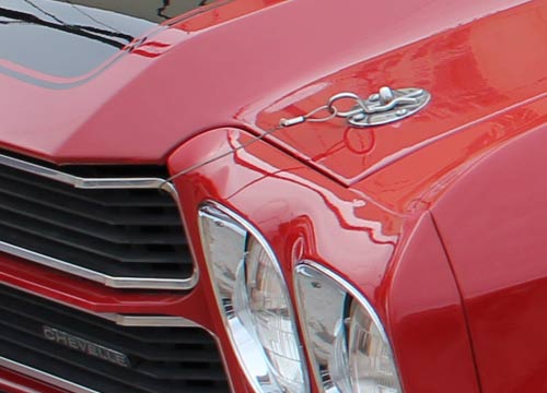 Hood pins