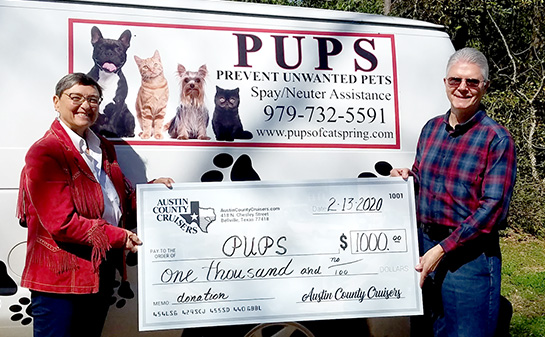 Contribution ACC Pups